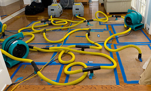 Professional Sewage Cleanup technician working in Claremont, NC